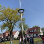 Maibaum aufstellen